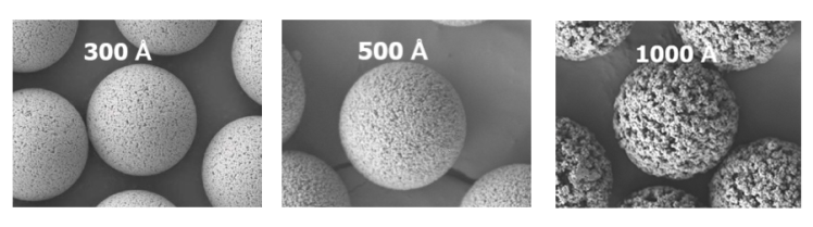 Hình chụp SEM của pha tĩnh polystyrene, từ trái sang phải kích thước lỗ xốp tăng dần Nguồn: www.nanomicrotech.com